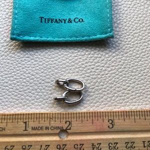 Tiffany & Co Oval Clasping link from a bracelet-2